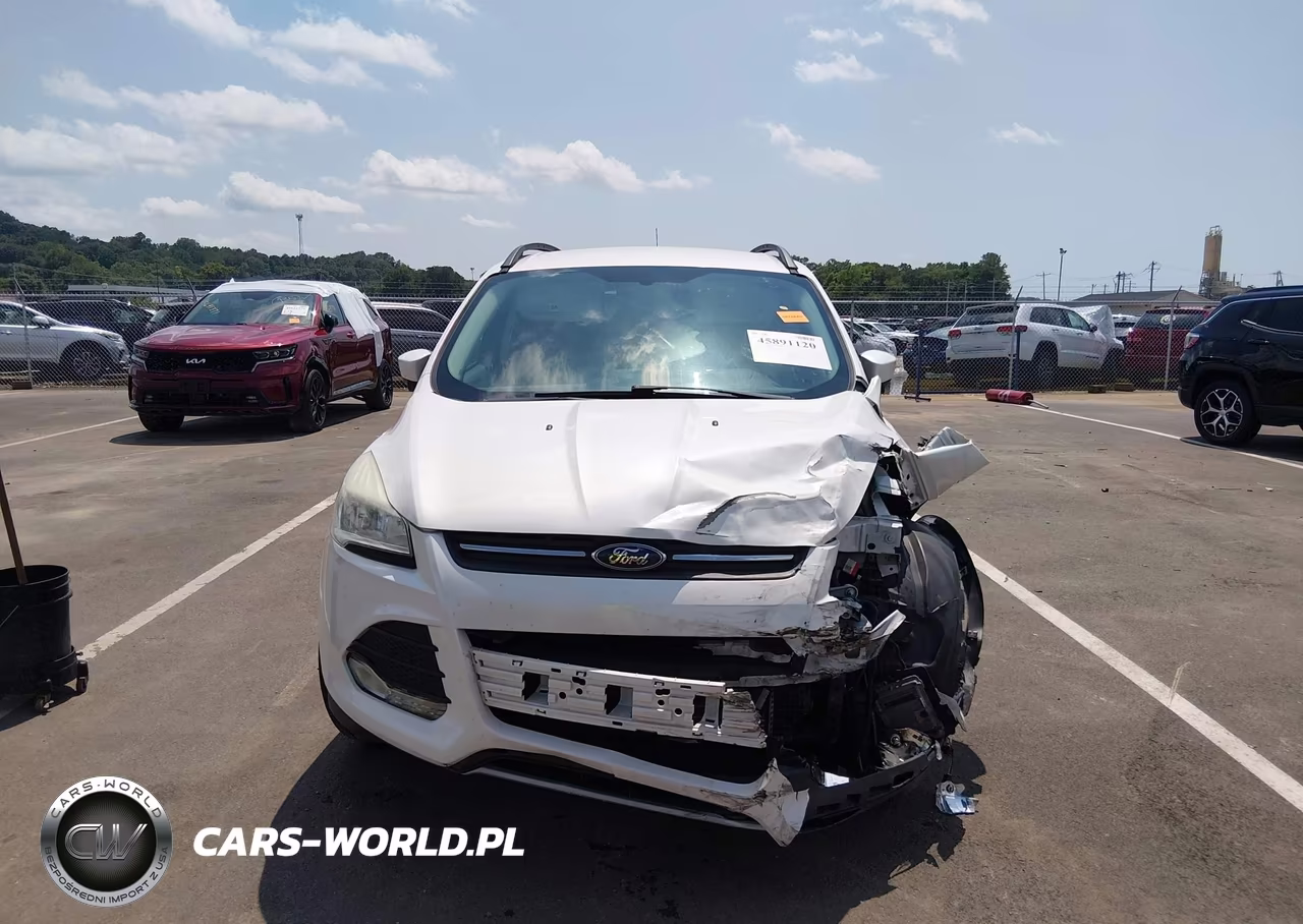 2014 Ford Escape Se VIN:1FMCU0GX4EUB55506 - 12
