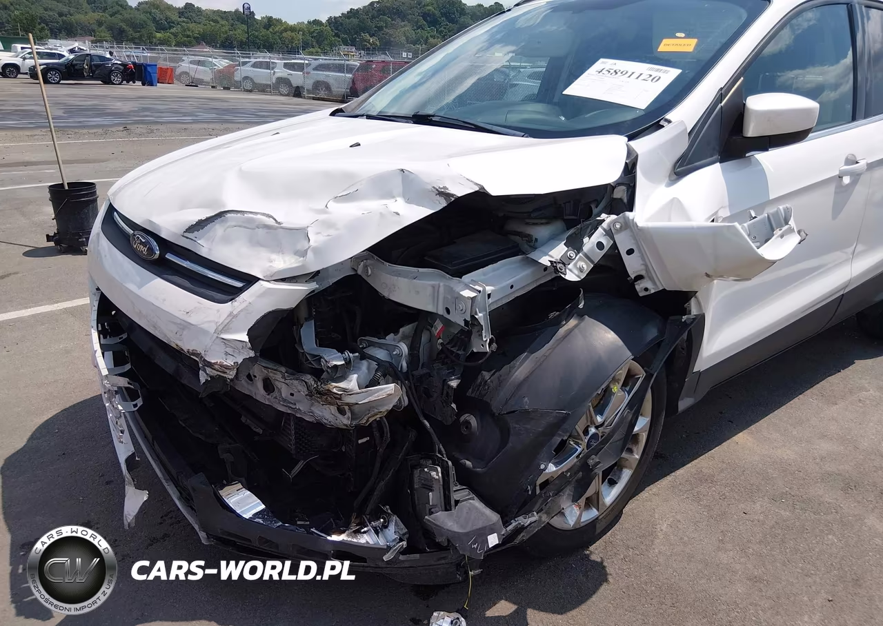 2014 Ford Escape Se VIN:1FMCU0GX4EUB55506 - 6