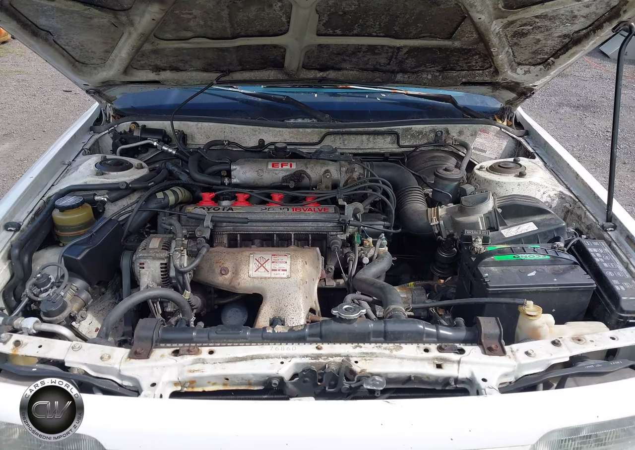 1991 Toyota Camry Dlx VIN:4T1SV21E0MU456686 - 10