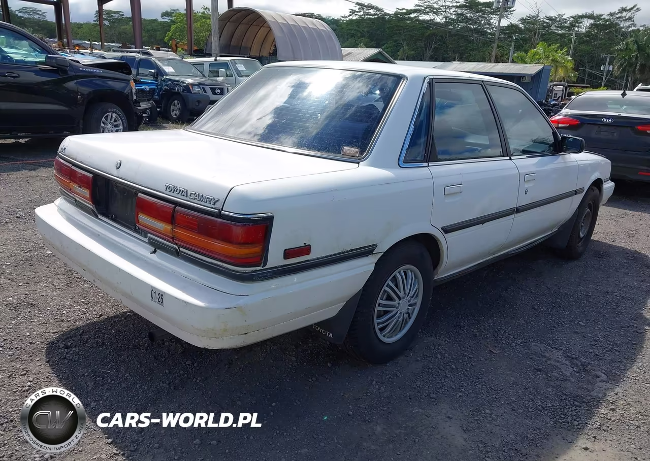 1991 Toyota Camry Dlx VIN:4T1SV21E0MU456686 - 4