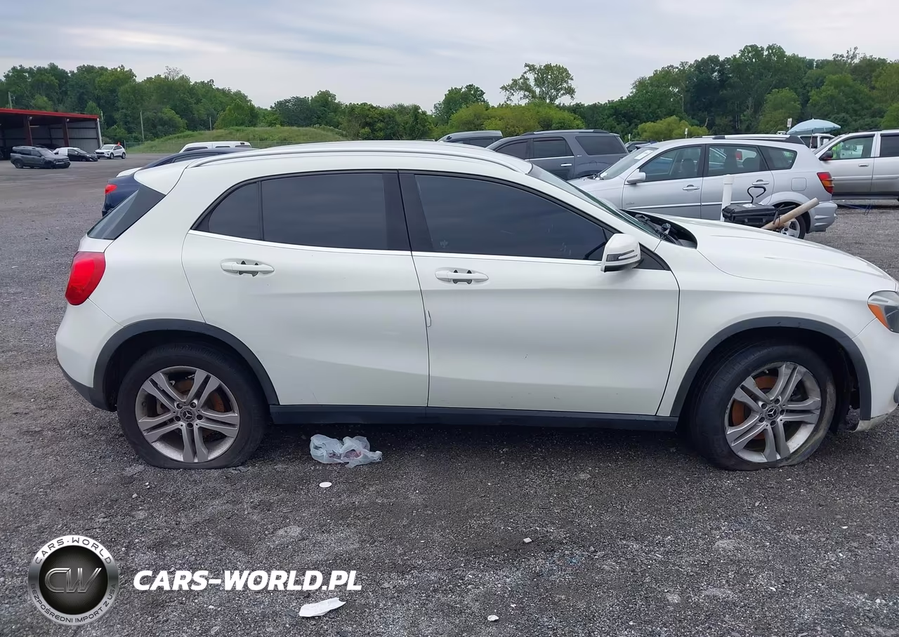 2018 Mercedes-Benz Gla 250 VIN:WDCTG4EB4JJ423681 - 13