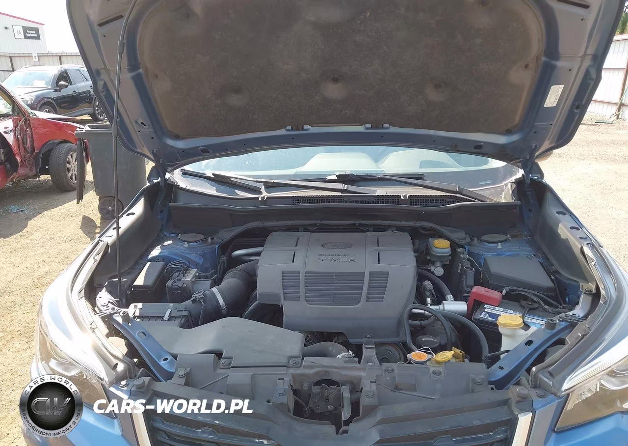 2019 Subaru Forester Premium VIN:JF2SKAGC9KH524679 - 10