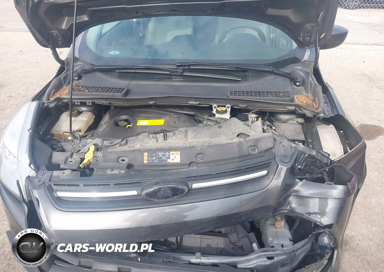 2015 Ford Escape Se VIN:1FMCU9GX4FUA94020 - 10