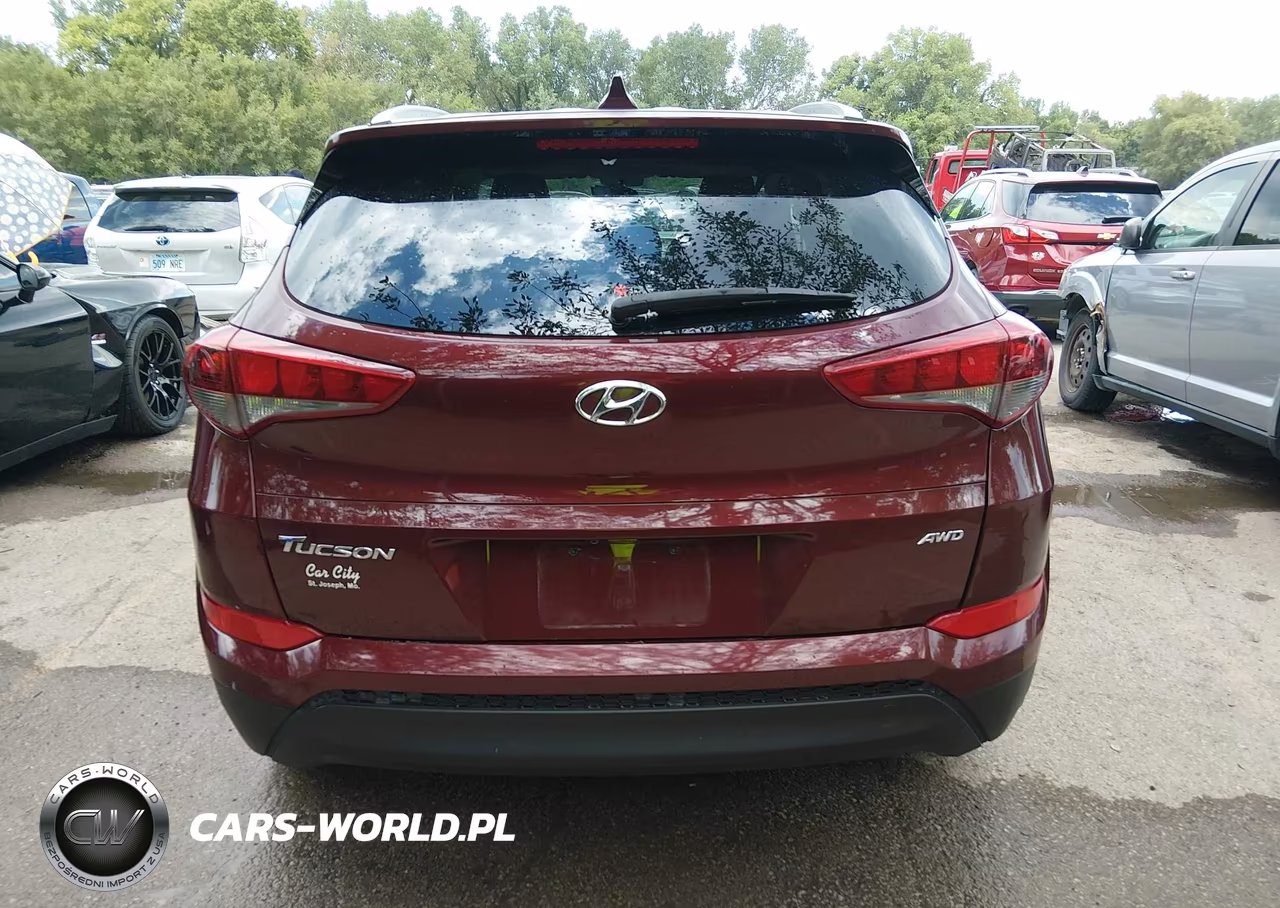 2017 Hyundai Tucson Se Plus VIN:KM8J3CA40HU458460 - 16