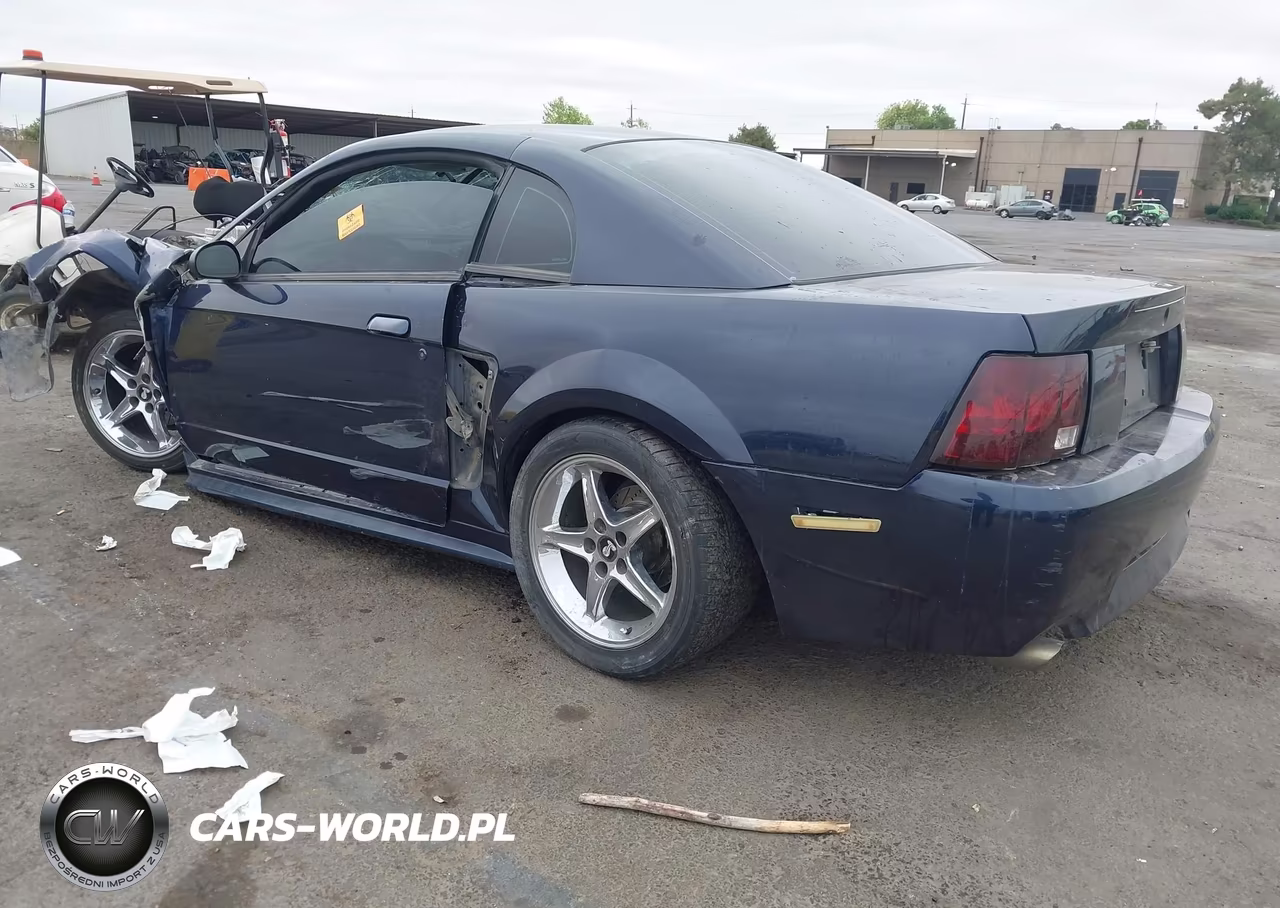 2002 Ford Mustang Gt Deluxe-Gt Premium VIN:1FAFP42X52F109132 - 3