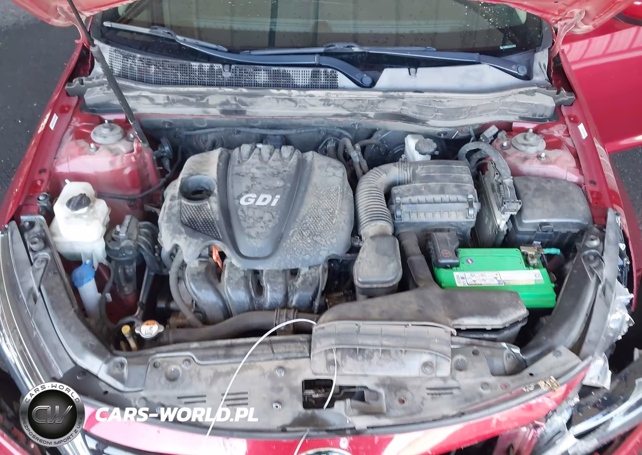 2015 Kia Optima Ex VIN:5XXGN4A71FG414639 - 10
