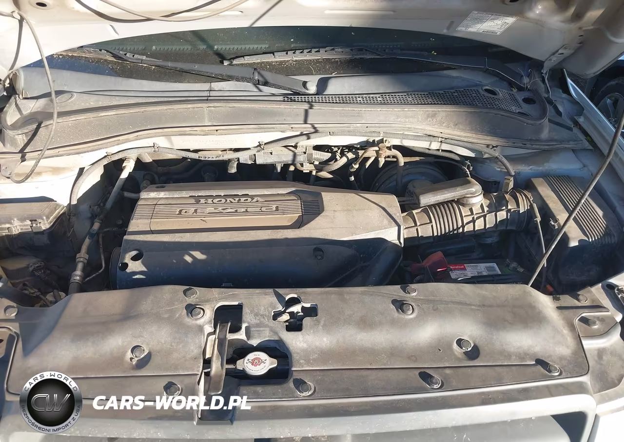 2004 Honda Pilot Lx VIN:2HKYF18114H535321 - 10