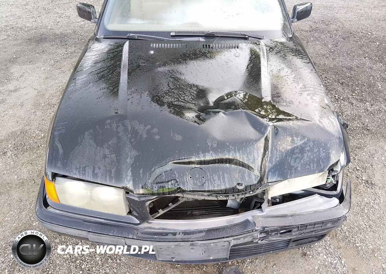 1999 BMW 323Ic VIN:WBABJ8339XEM26497 - 10
