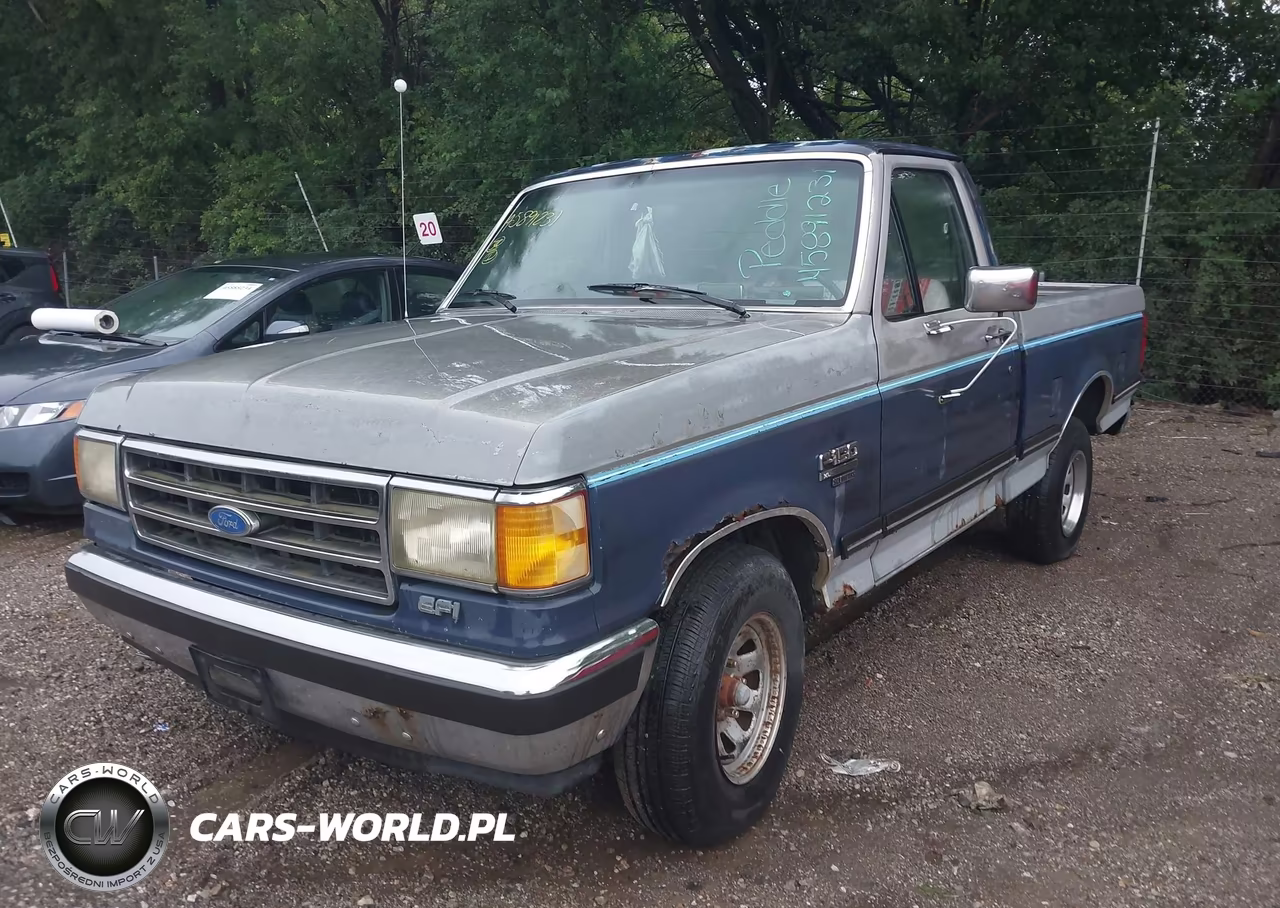 1989 Ford F150 VIN:1FTDF15Y7KNB39519 - 2