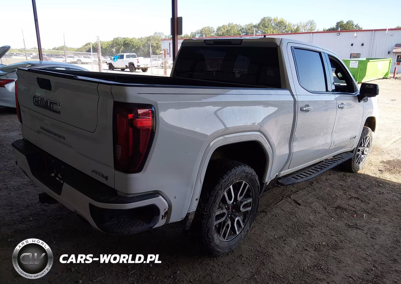 2021 GMC Sierra 1500 4Wd Short Box At4 VIN:3GTP9EED5MG431349 - 4