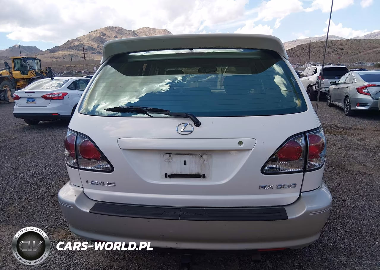 2002 Lexus Rx 300 VIN:JTJHF10U520260596 - 16