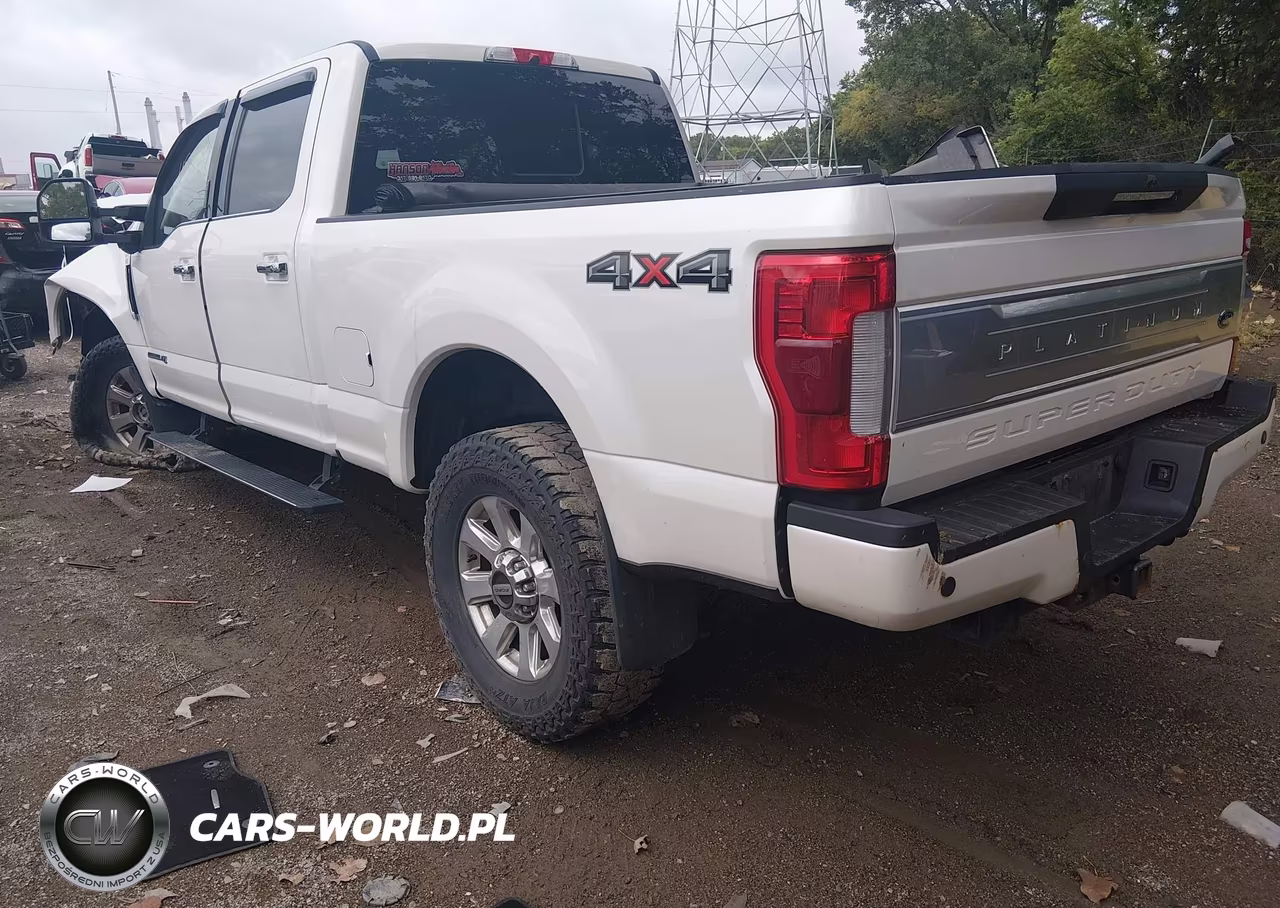 2019 Ford F-250 Platinum VIN:1FT7W2BT6KEF12769 - 3