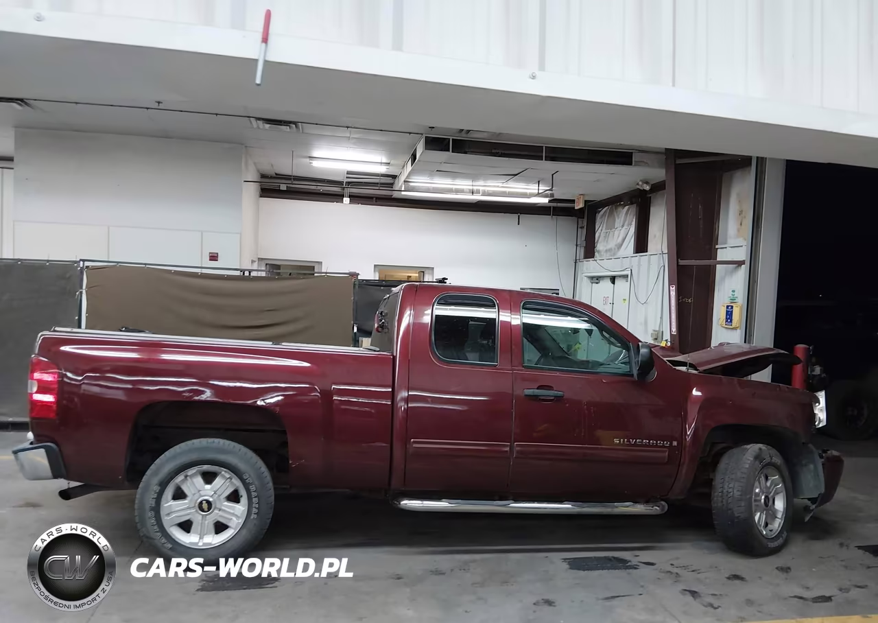 2009 Chevrolet Silverado 1500 Lt VIN:1GCEK29J39Z263969 - 12