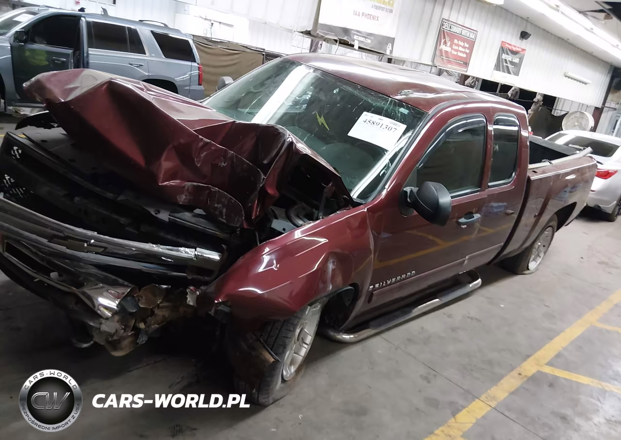 2009 Chevrolet Silverado 1500 Lt VIN:1GCEK29J39Z263969 - 2