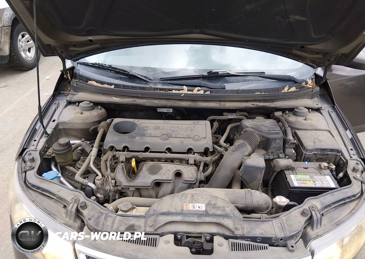 2013 Kia Forte Ex VIN:KNAFU4A24D5733096 - 10