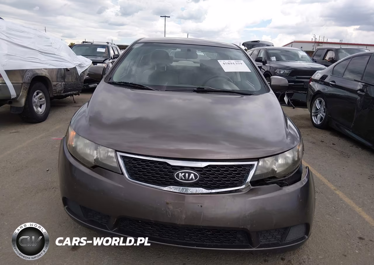 2013 Kia Forte Ex VIN:KNAFU4A24D5733096 - 13
