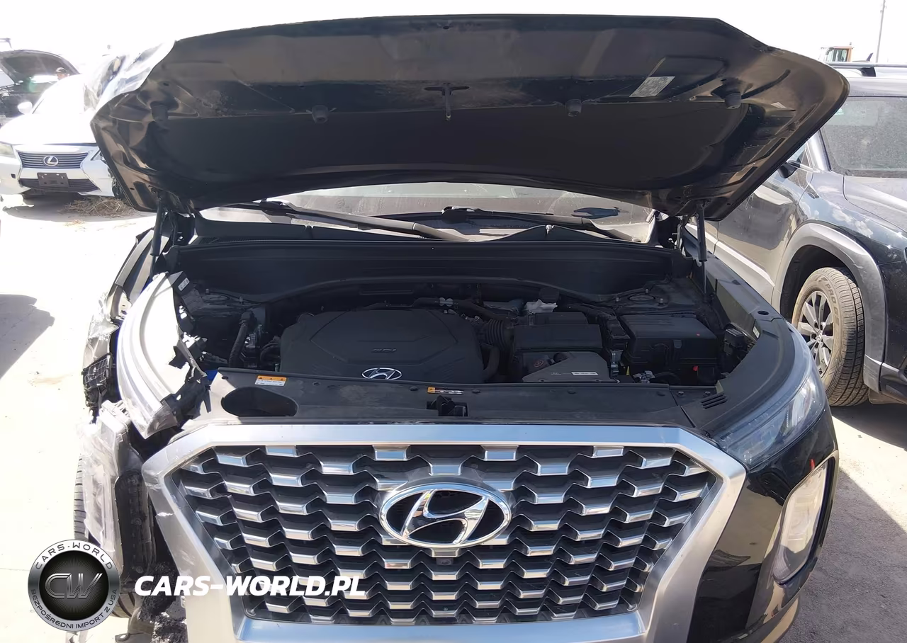 2021 Hyundai Palisade Limited VIN:KM8R5DHE8MU268482 - 10