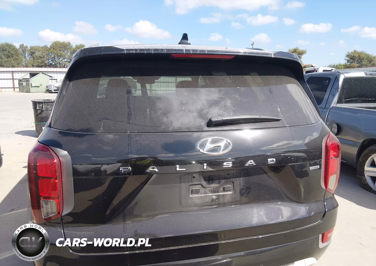 2021 Hyundai Palisade Limited VIN:KM8R5DHE8MU268482 - 17