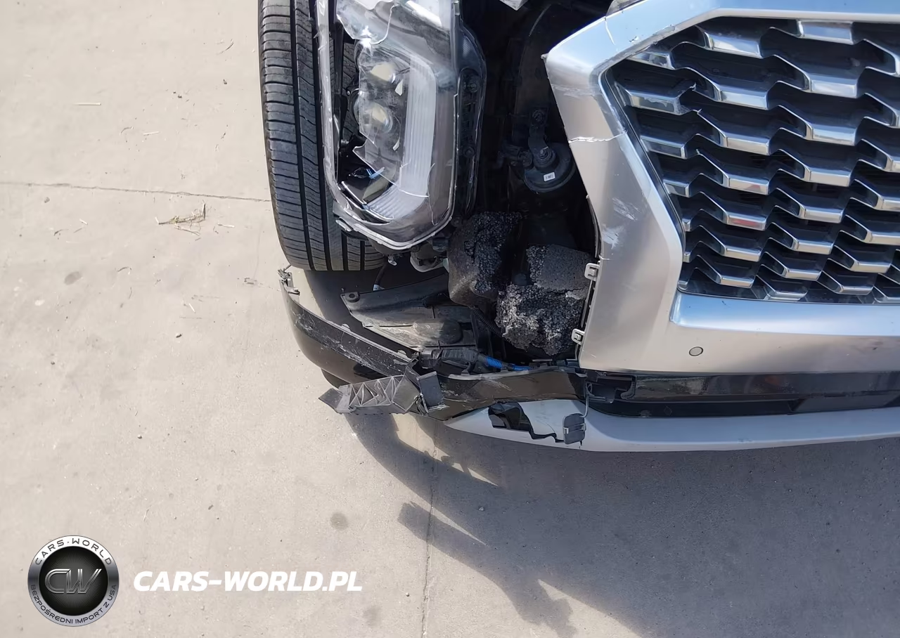 2021 Hyundai Palisade Limited VIN:KM8R5DHE8MU268482 - 6