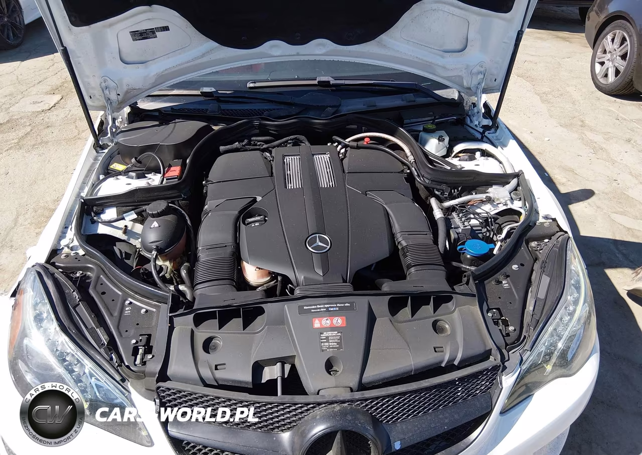 2016 Mercedes-Benz E 400 VIN:WDDKJ6FB3GF322274 - 10