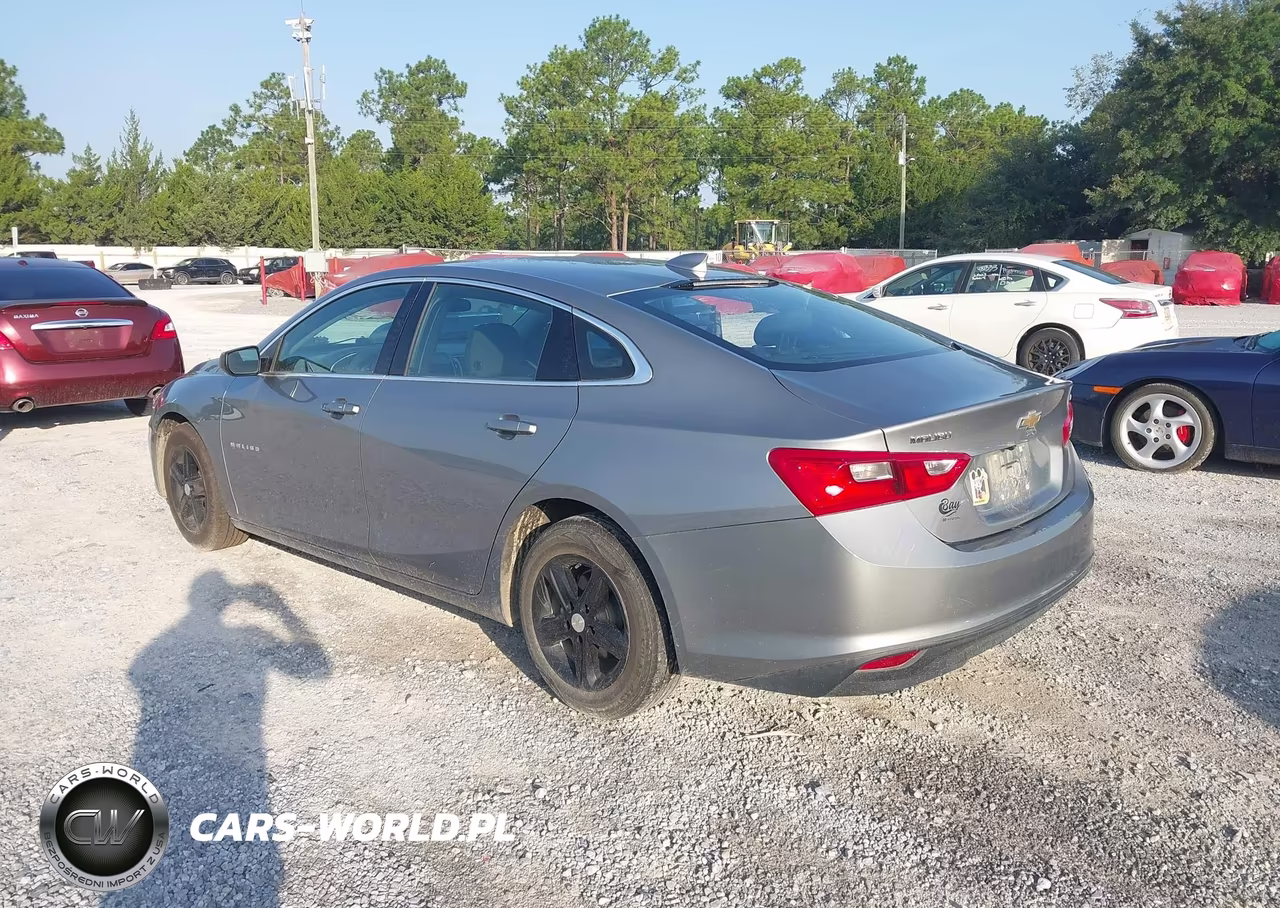 2023 Chevrolet Malibu Fwd 1Lt VIN:1G1ZD5ST6PF241285 - 3