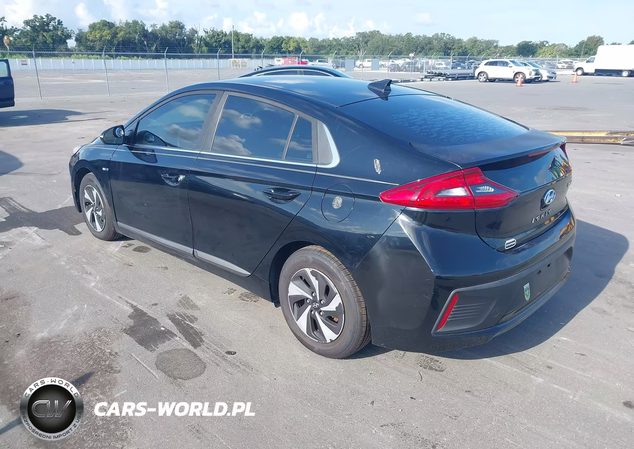 2017 Hyundai Ioniq Hybrid Sel VIN:KMHC75LC8HU041391 - 3