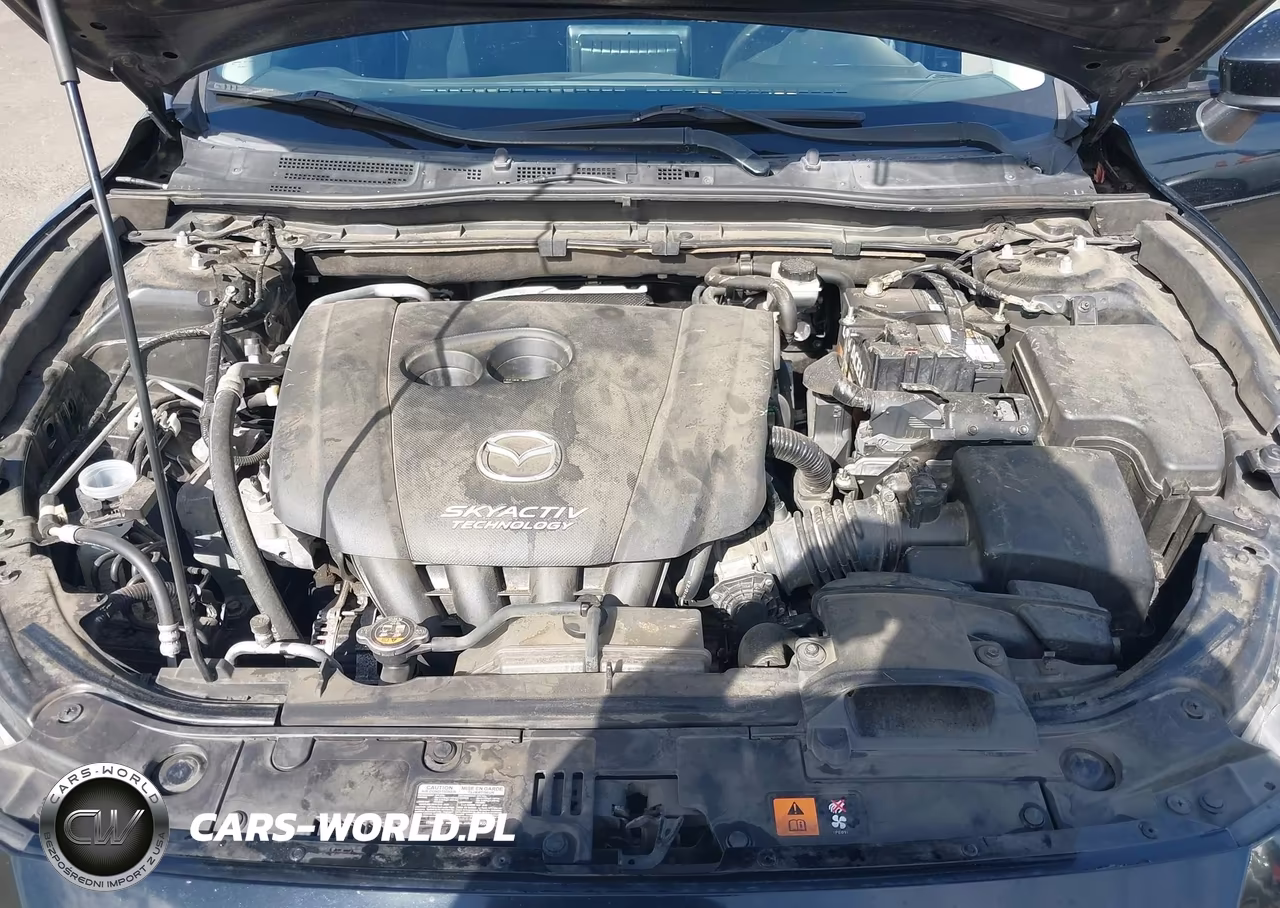 2015 Mazda Mazda3 I Sport VIN:JM1BM1K77F1258631 - 10
