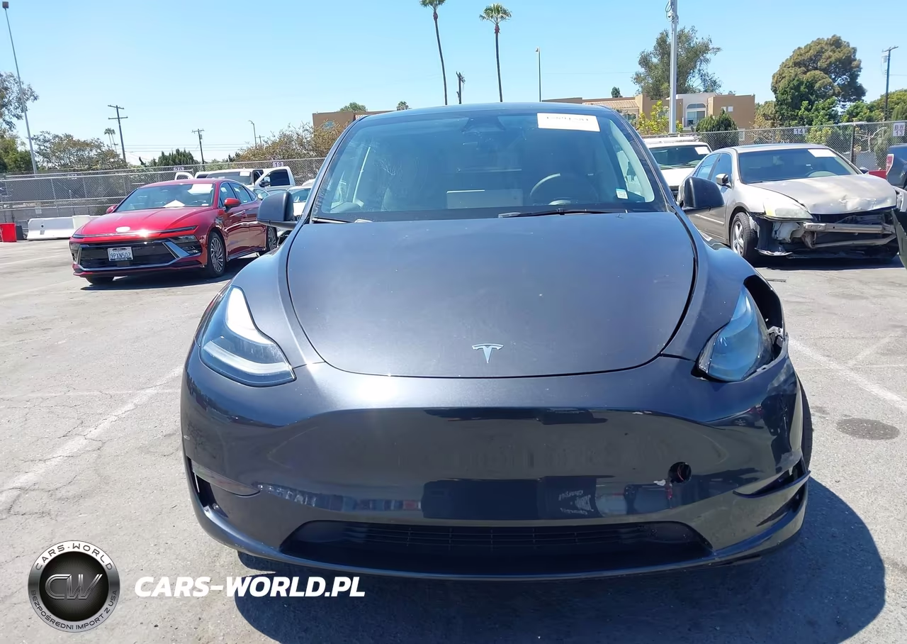 2024 Tesla Model Y Long Range Dual Motor All-Wheel Drive VIN:7SAYGAEE5RF993585 - 13