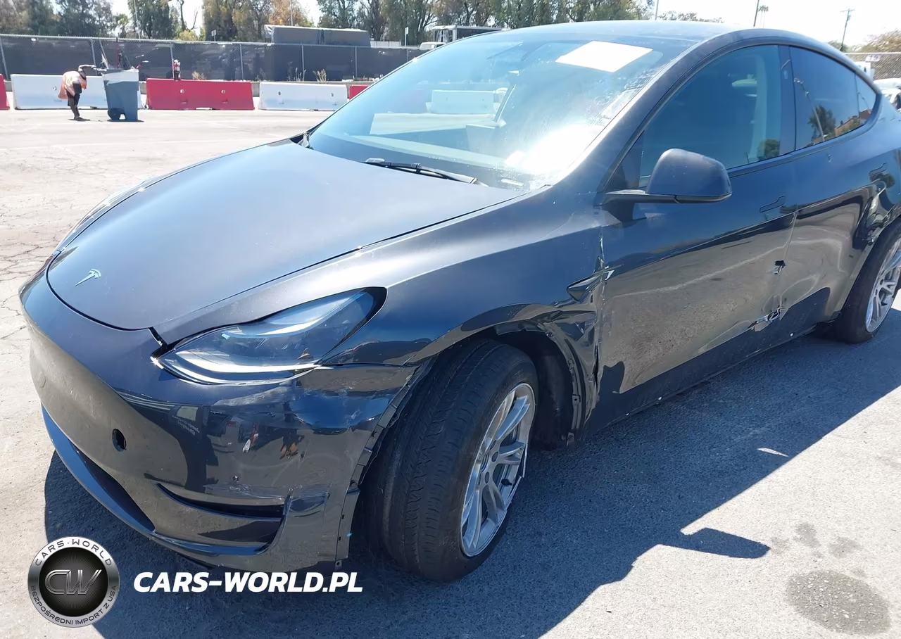 2024 Tesla Model Y Long Range Dual Motor All-Wheel Drive VIN:7SAYGAEE5RF993585 - 6