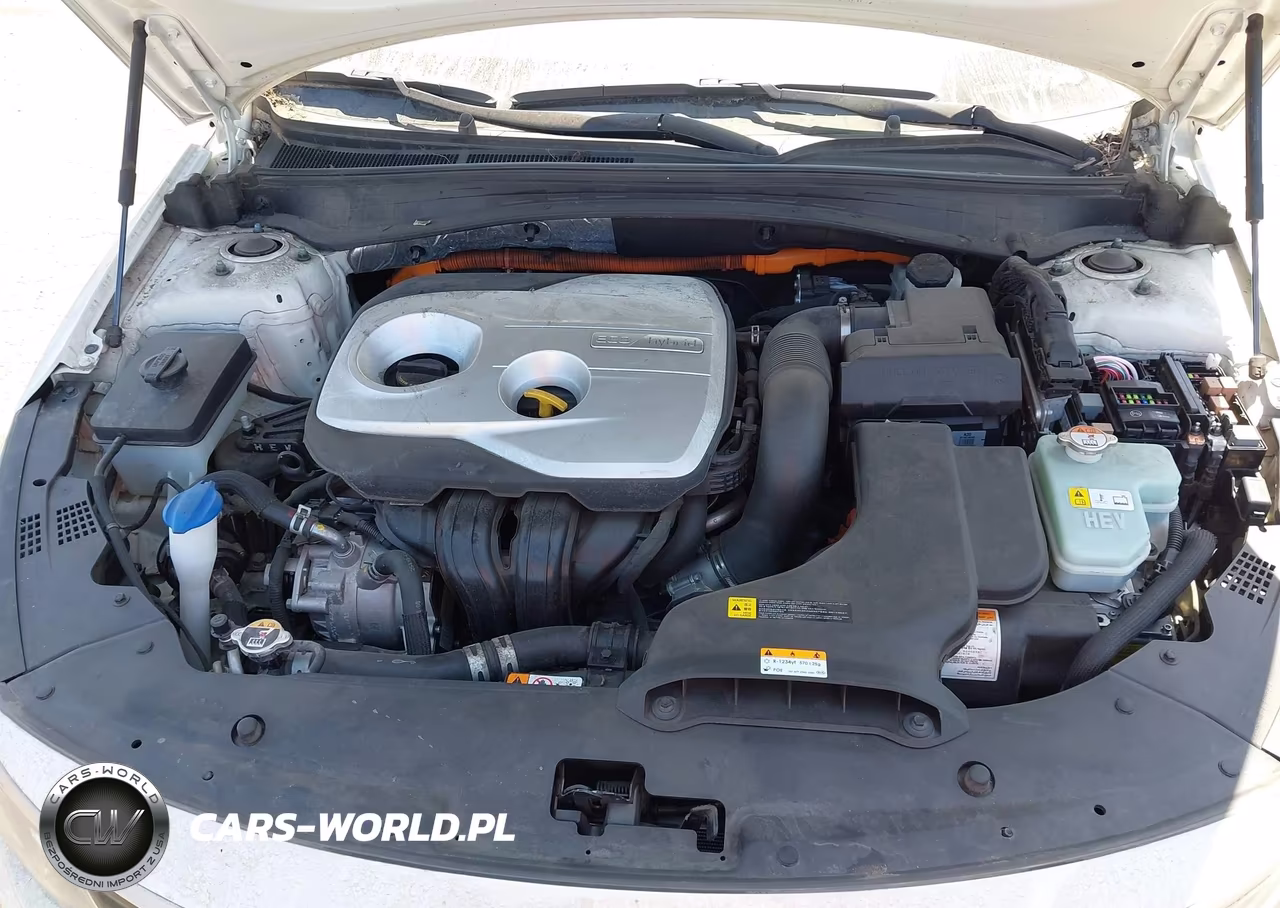 2020 Kia Optima Hybrid Ex VIN:KNAGU4LE5L5045425 - 10