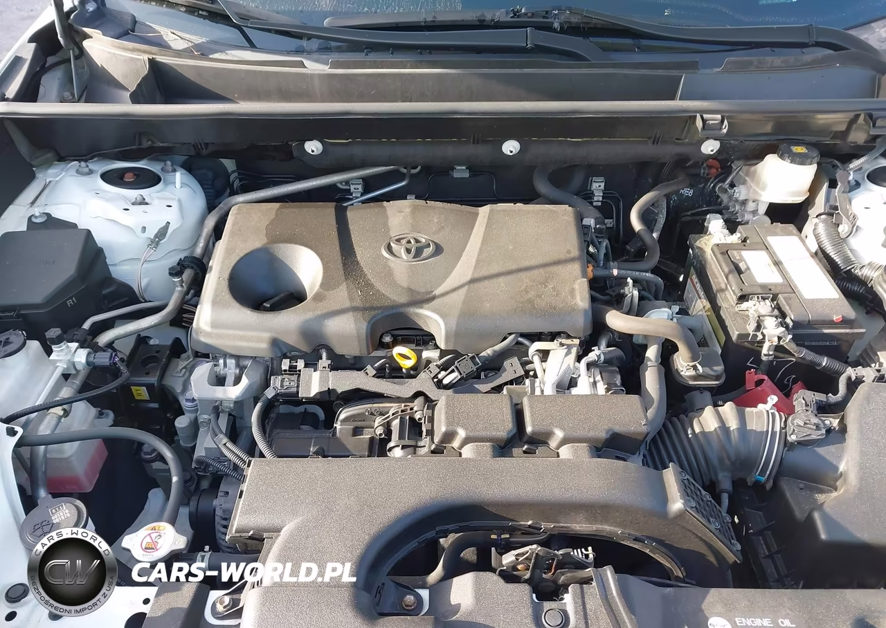 2019 Toyota Rav4 Xle VIN:JTMP1RFV0KD042716 - 10