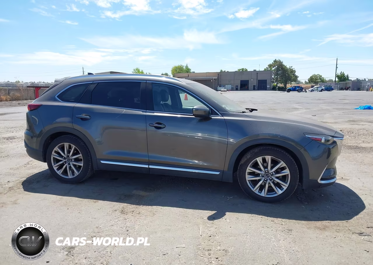 2017 Mazda Cx-9 Grand Touring VIN:JM3TCBDY3H0133709 - 13