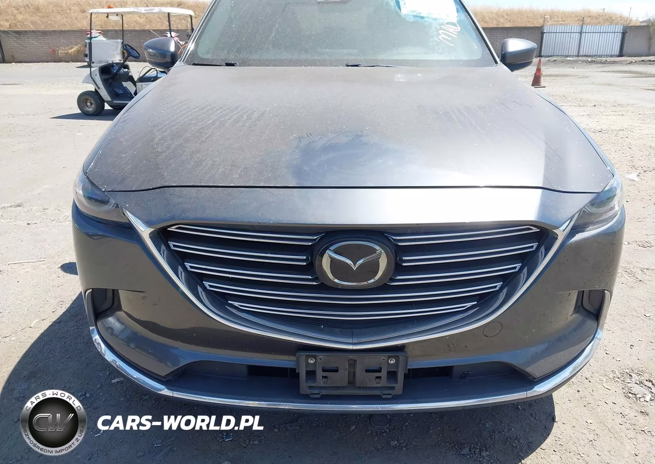 2017 Mazda Cx-9 Grand Touring VIN:JM3TCBDY3H0133709 - 6