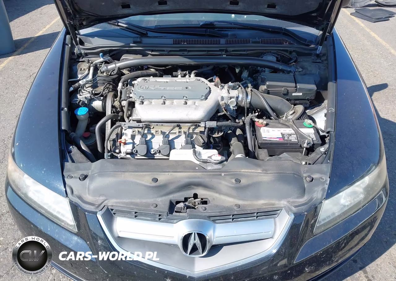 2004 Acura Tl VIN:19UUA66284A054478 - 10