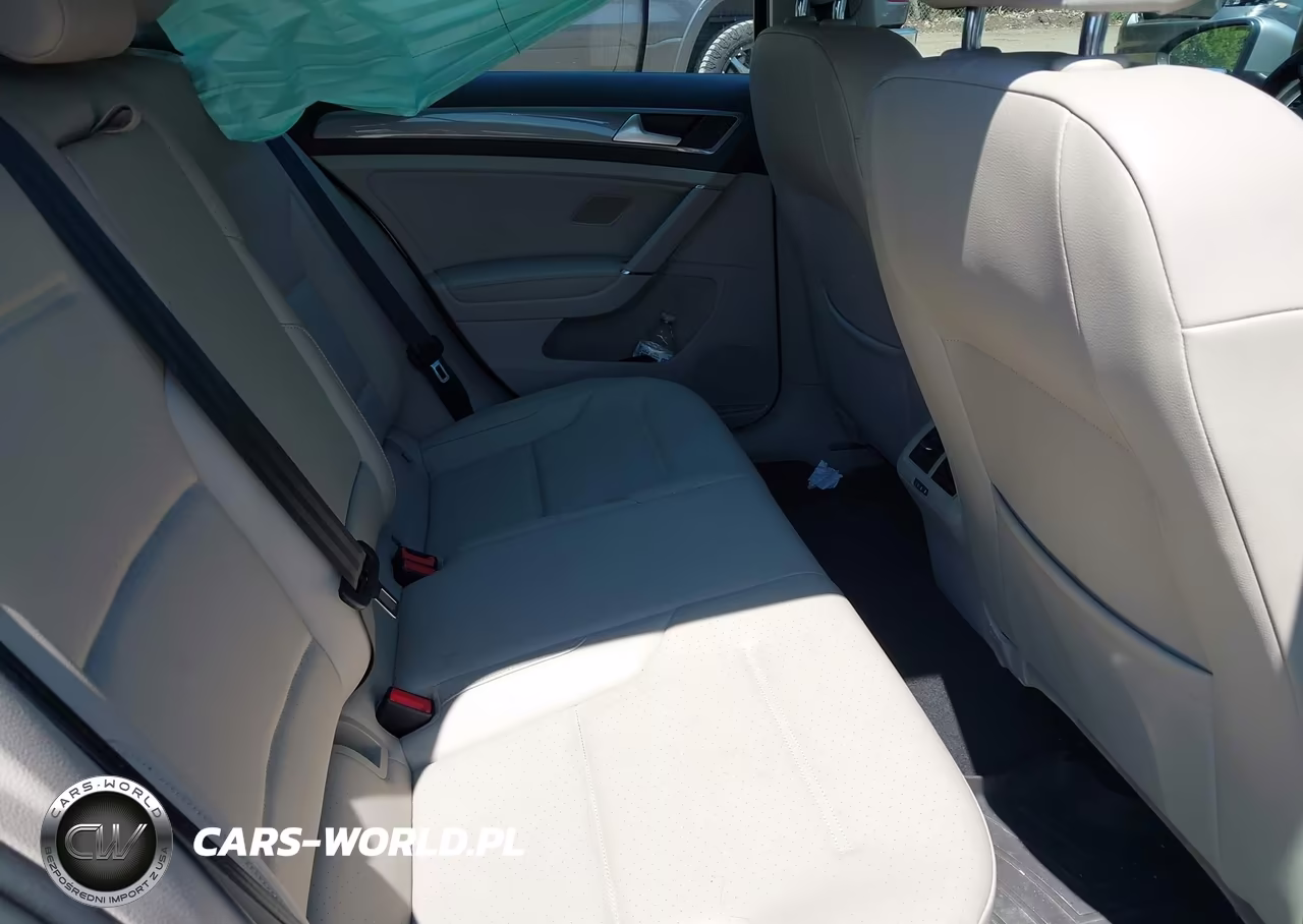 2019 Volkswagen Golf Alltrack Tsi S-Tsi Se-Tsi Sel VIN:3VWH17AU1KM516875 - 8