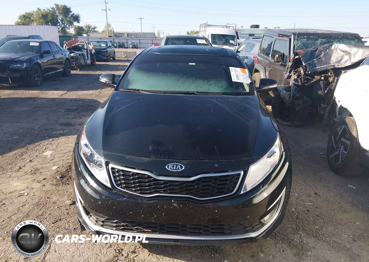 2012 Kia Optima Hybrid VIN:KNAGM4AD4C5013317 - 12