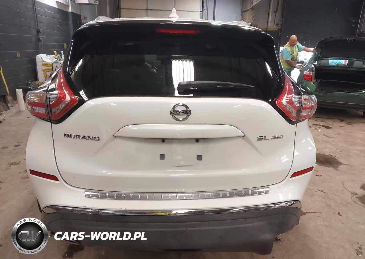 2017 Nissan Murano Sl VIN:5N1AZ2MH1HN174319 - 17