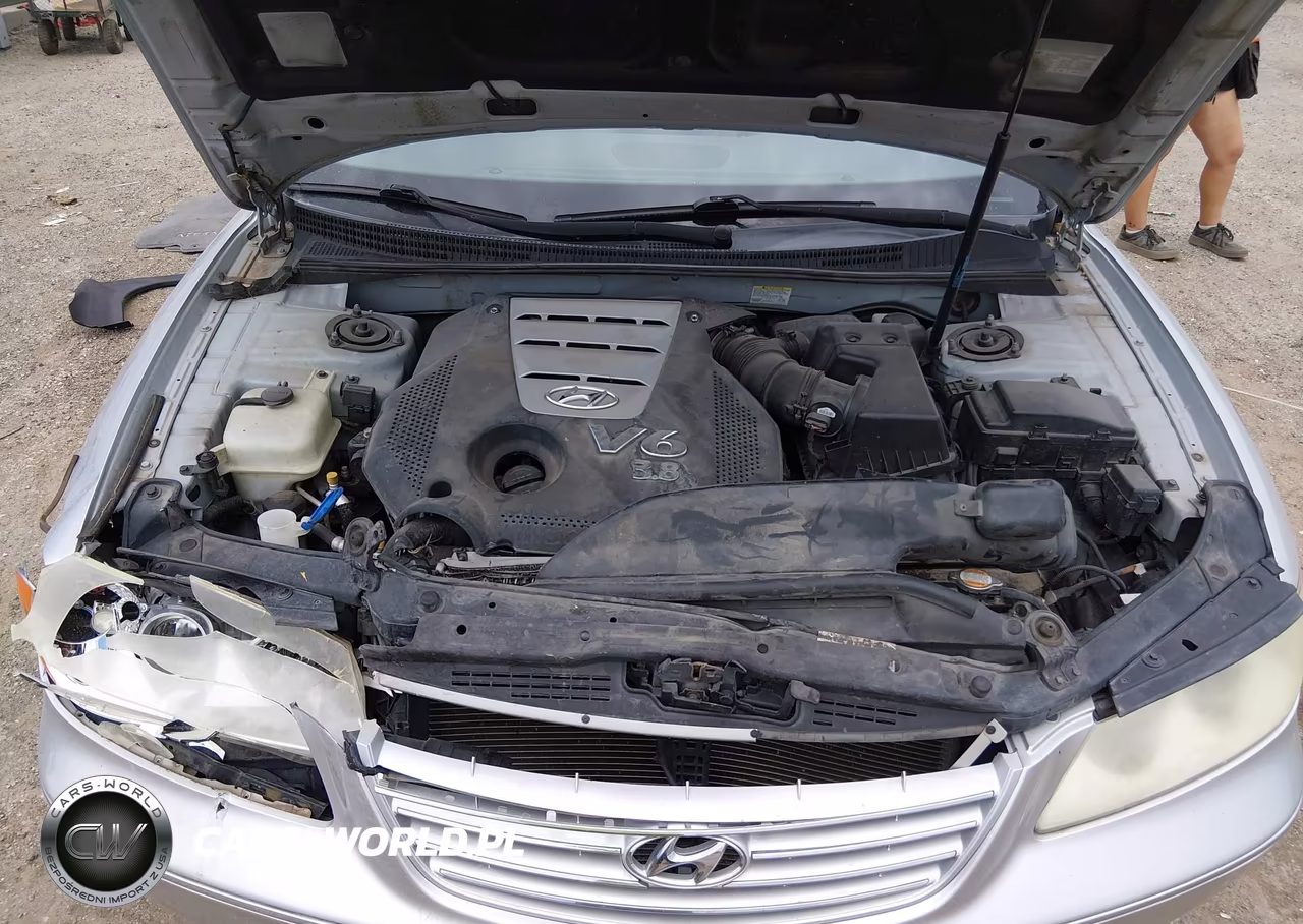 2008 Hyundai Azera Limited VIN:KMHFC46F28A316733 - 10