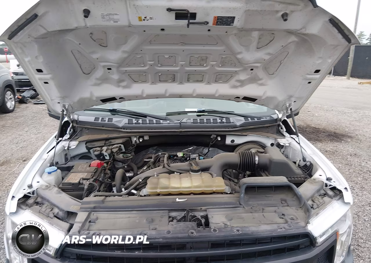 2019 Ford F-150 Xl VIN:1FTEX1CP0KKC94619 - 10