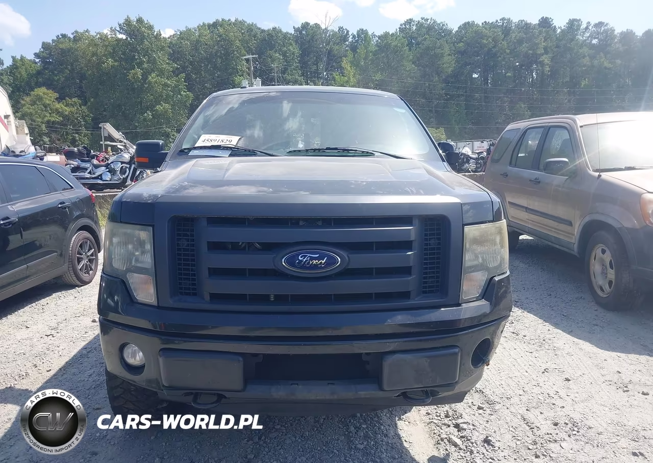 2014 Ford F-150 Fx4 VIN:1FTFW1EF1EFA66301 - 12