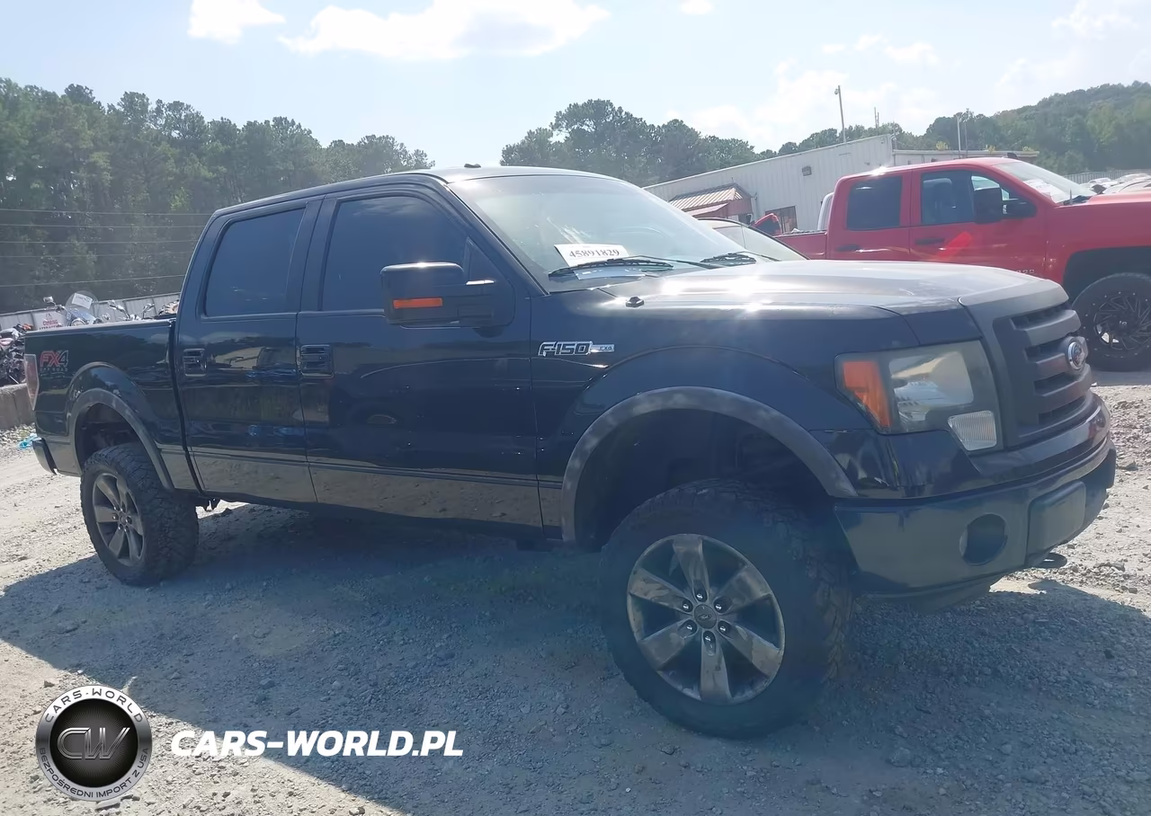 2014 Ford F-150 Fx4 VIN:1FTFW1EF1EFA66301 - 13