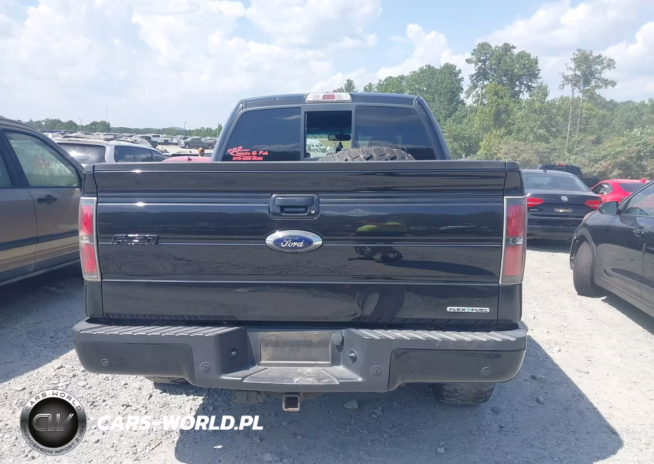 2014 Ford F-150 Fx4 VIN:1FTFW1EF1EFA66301 - 16