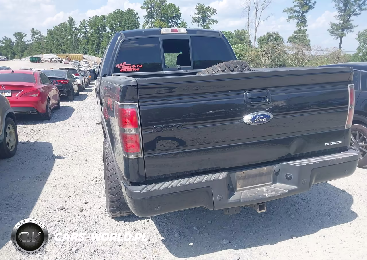 2014 Ford F-150 Fx4 VIN:1FTFW1EF1EFA66301 - 3