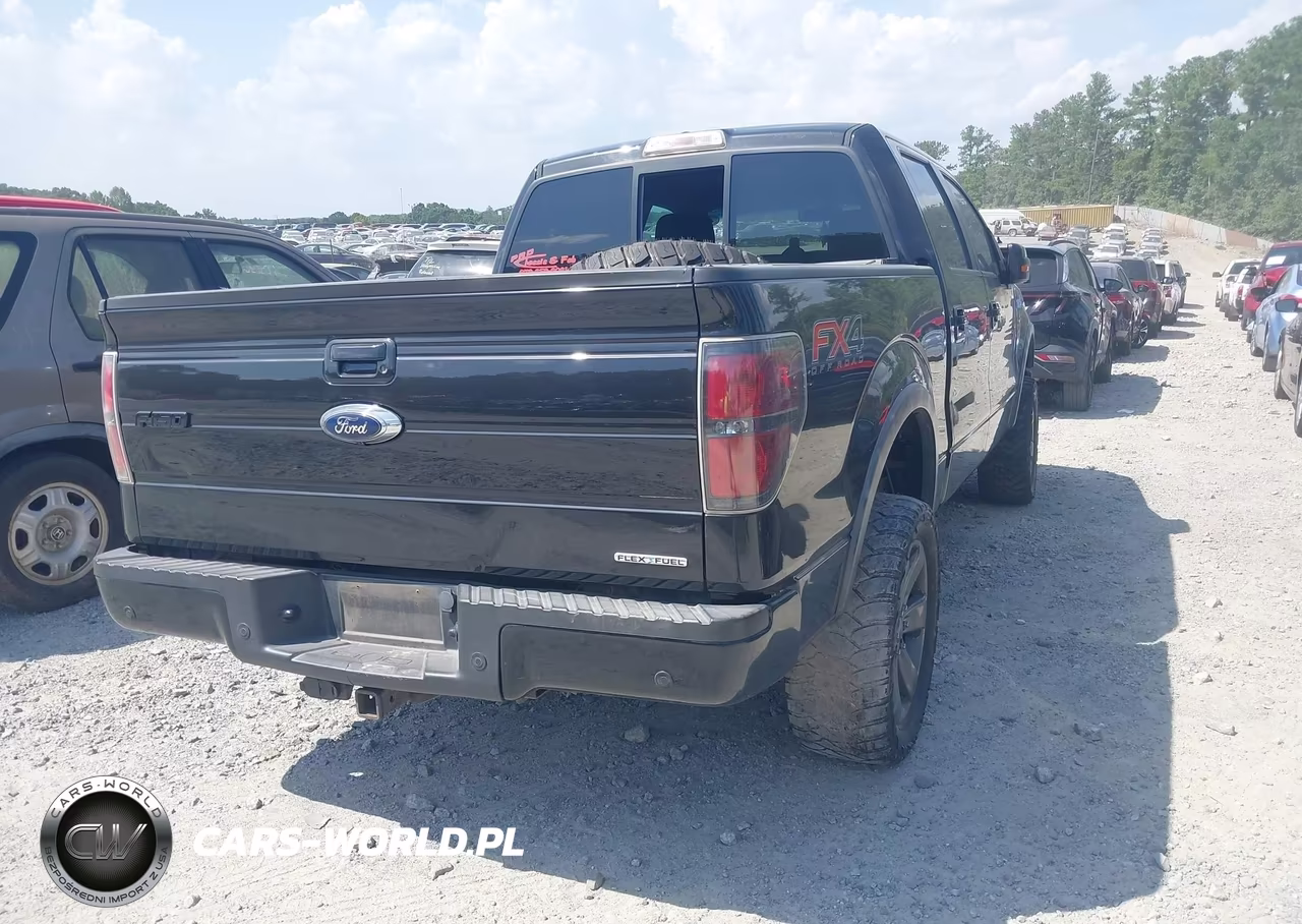 2014 Ford F-150 Fx4 VIN:1FTFW1EF1EFA66301 - 4