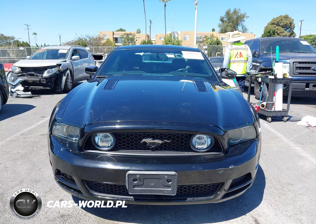 2014 Ford Mustang Gt Premium VIN:1ZVBP8CF0E5310028 - 12