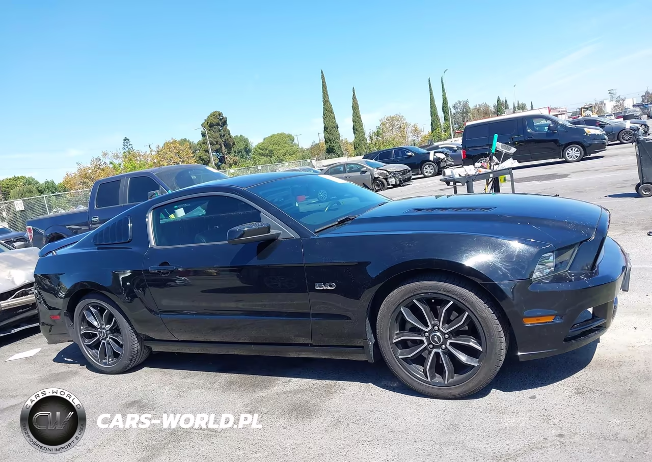 2014 Ford Mustang Gt Premium VIN:1ZVBP8CF0E5310028 - 13