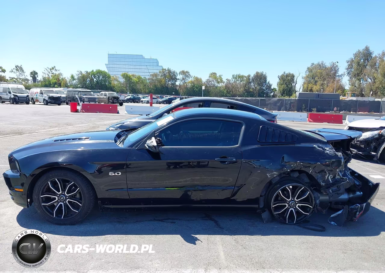 2014 Ford Mustang Gt Premium VIN:1ZVBP8CF0E5310028 - 14