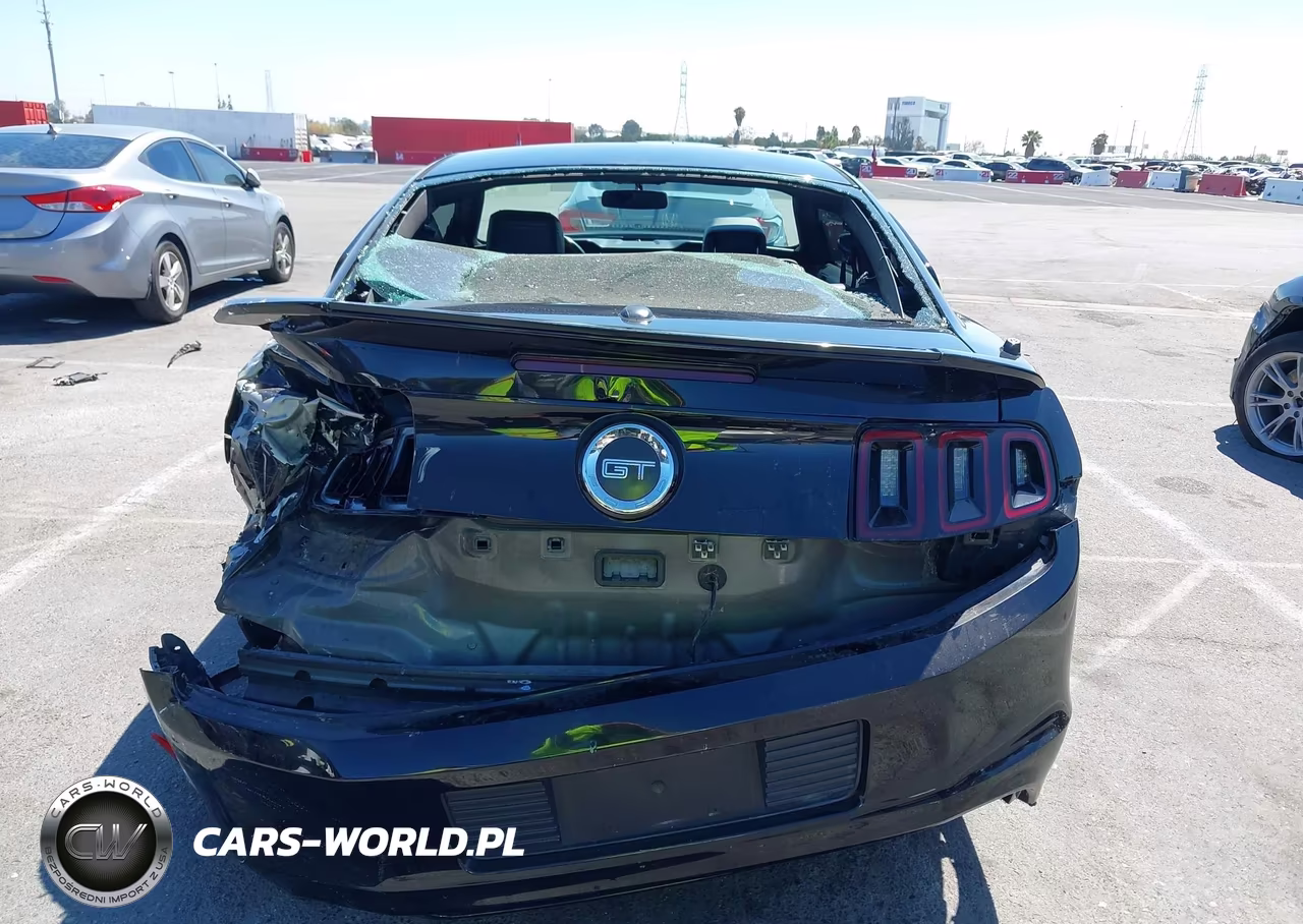 2014 Ford Mustang Gt Premium VIN:1ZVBP8CF0E5310028 - 16