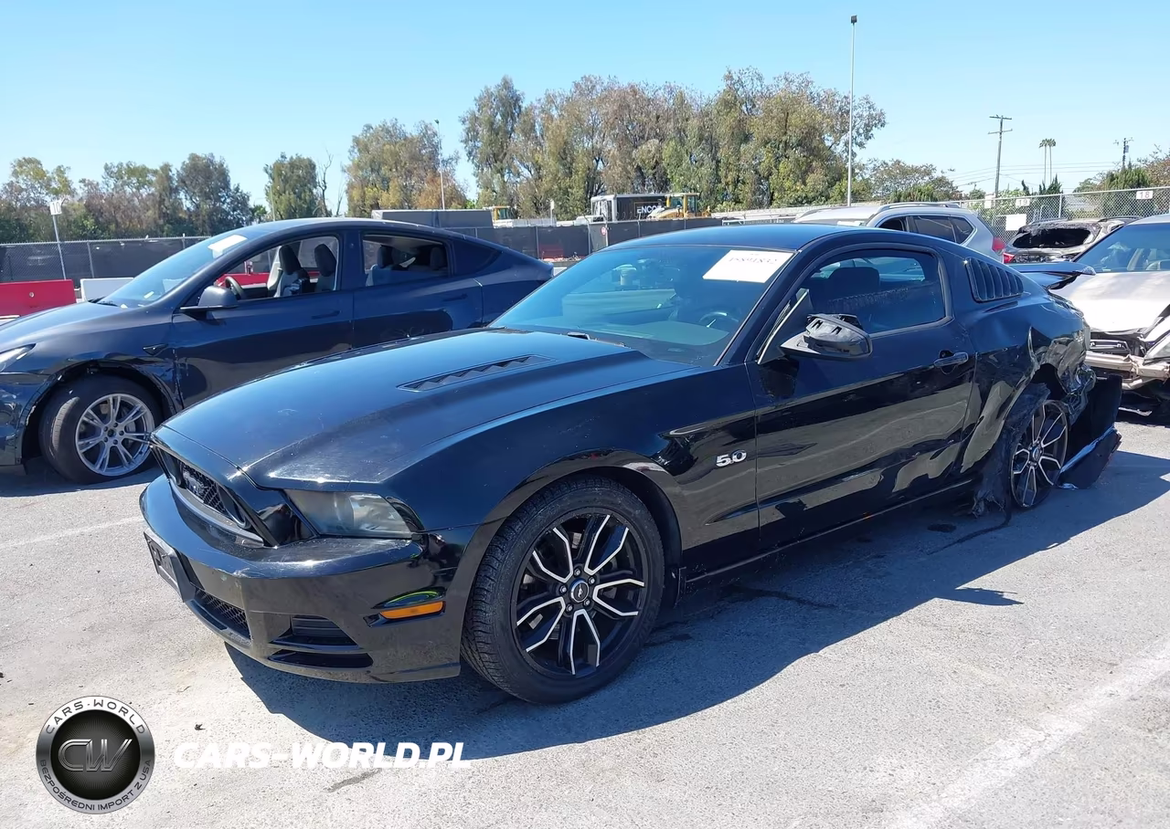 2014 Ford Mustang Gt Premium VIN:1ZVBP8CF0E5310028 - 2