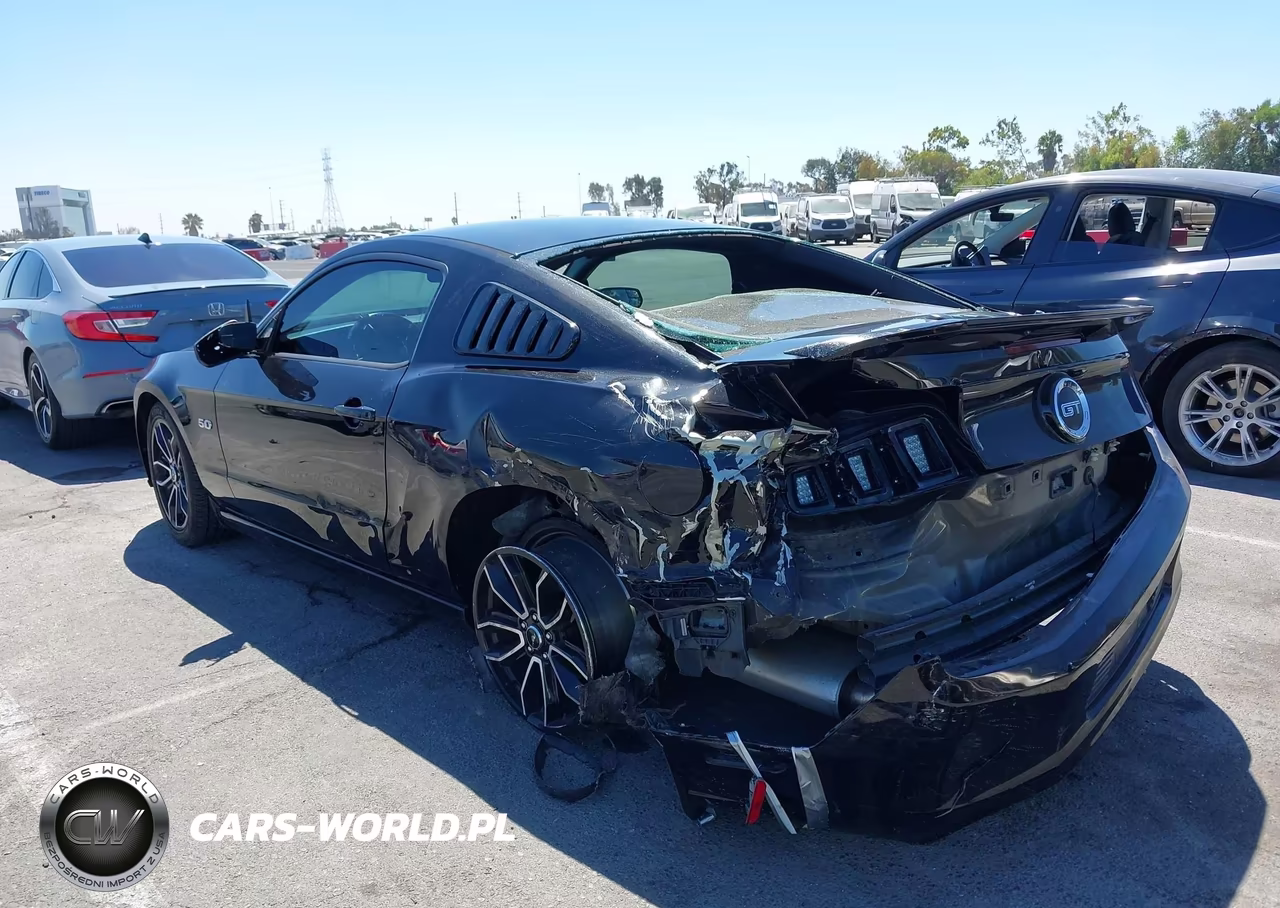 2014 Ford Mustang Gt Premium VIN:1ZVBP8CF0E5310028 - 3